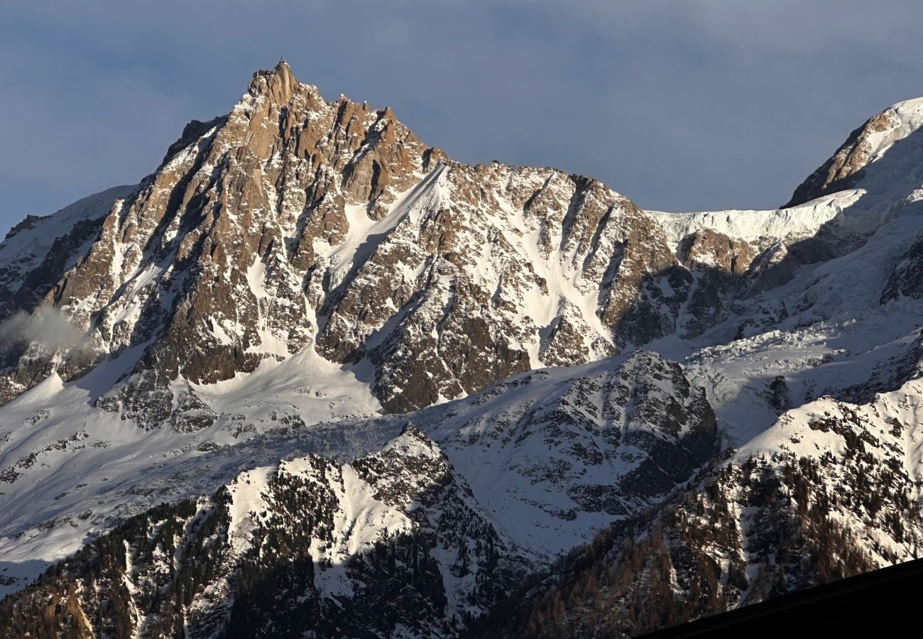 Appartement à Les Houches - Apartment Aiguille Rose