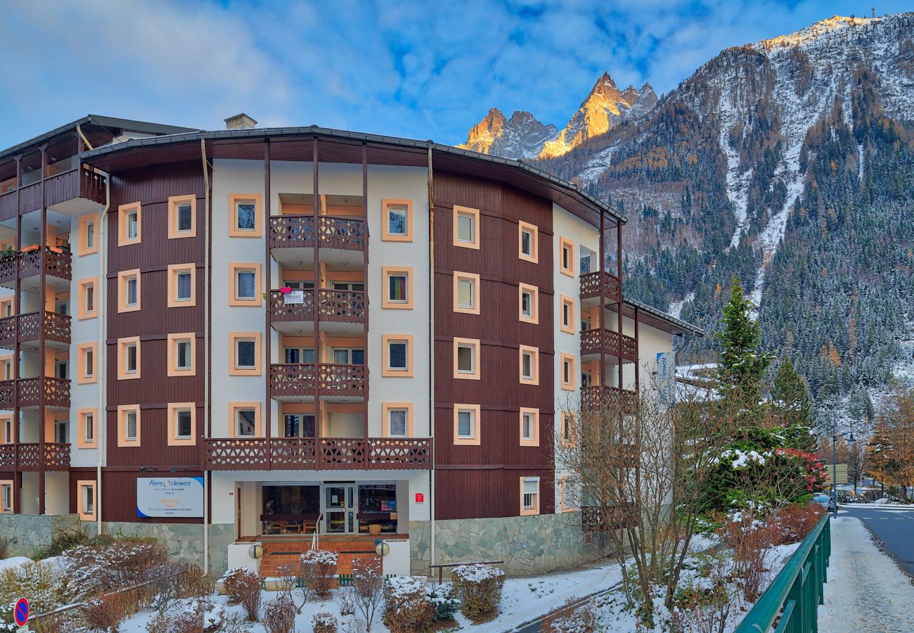 Exterior and views from Chamonix sud